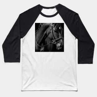 Horses Series Baseball T-Shirt